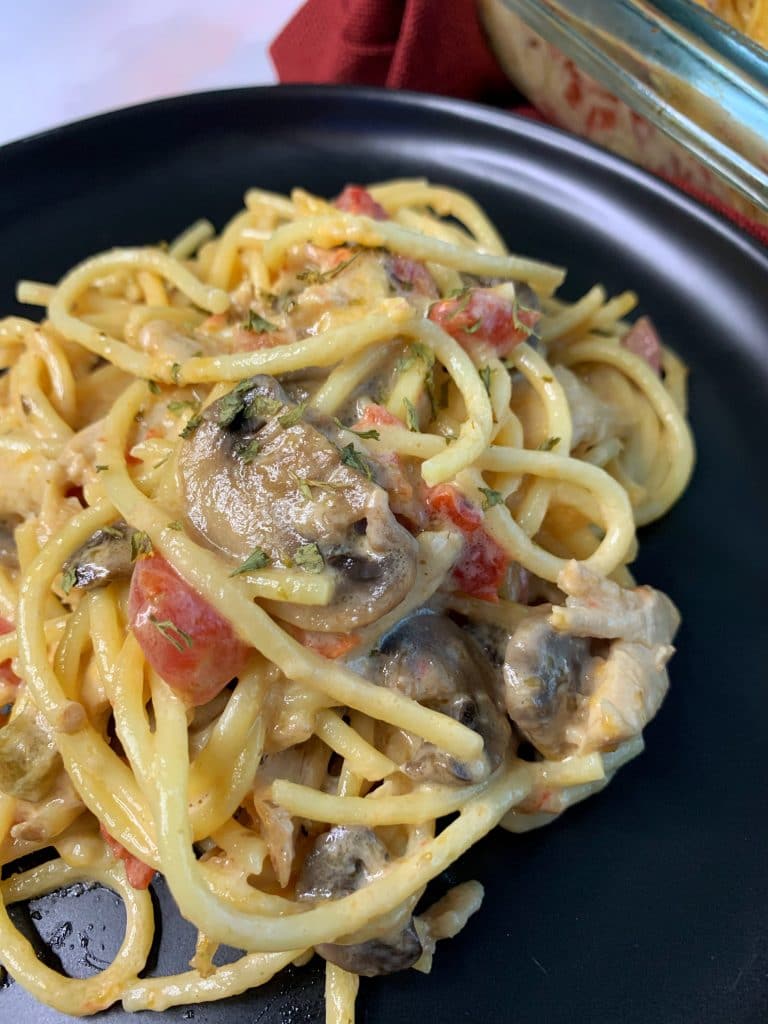 chicken tetrazzini with mushrooms, tomatoes, and cream sauce on a black plate