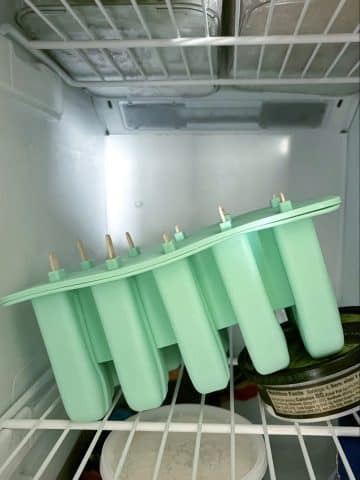 A photo showing how to place the popsicle mold in the freezer to create a specific design.