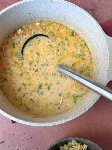 A ladle sticking out of a pot of creamy chicken soup.