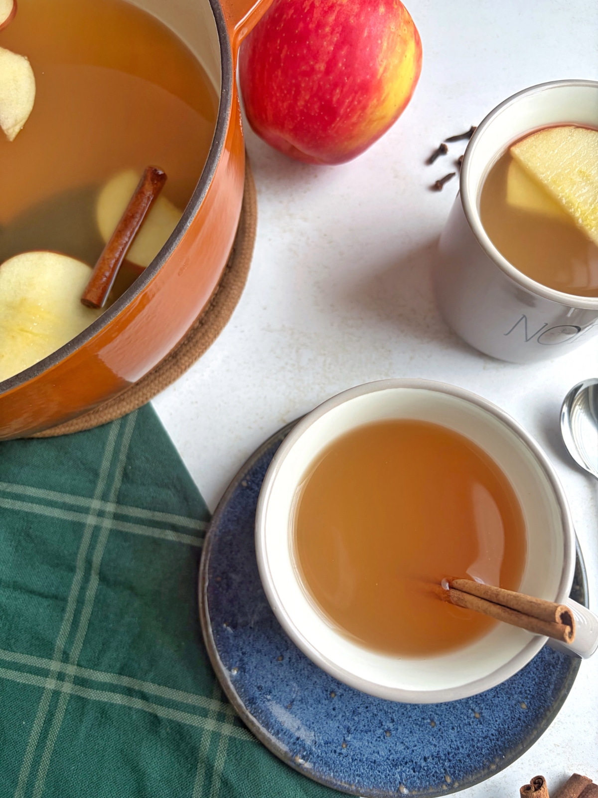 A mug of apple cider with a cinnamon stick next to a pot filled with the remaining drink.