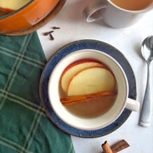 A cup of homemade apple cider with apple slices and cinnamon sticks.