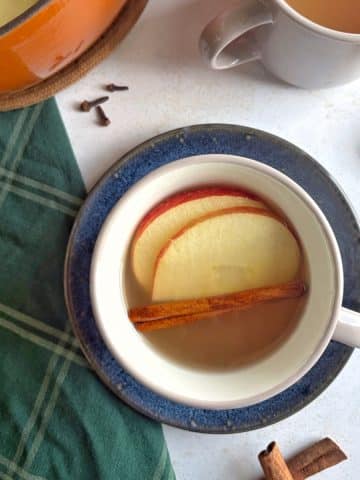 A cup of homemade apple cider with apple slices and cinnamon sticks.