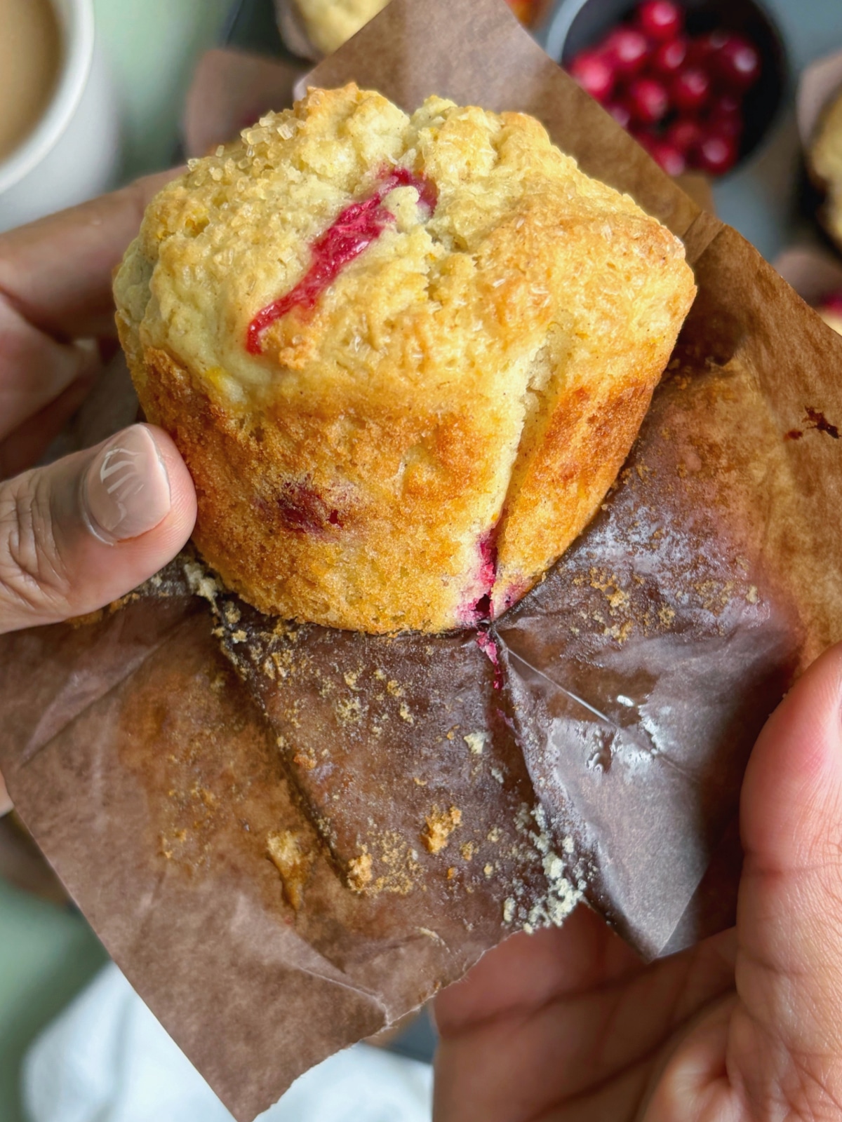 Two hands unwrapping an orange cranberry muffin from its wrapper.