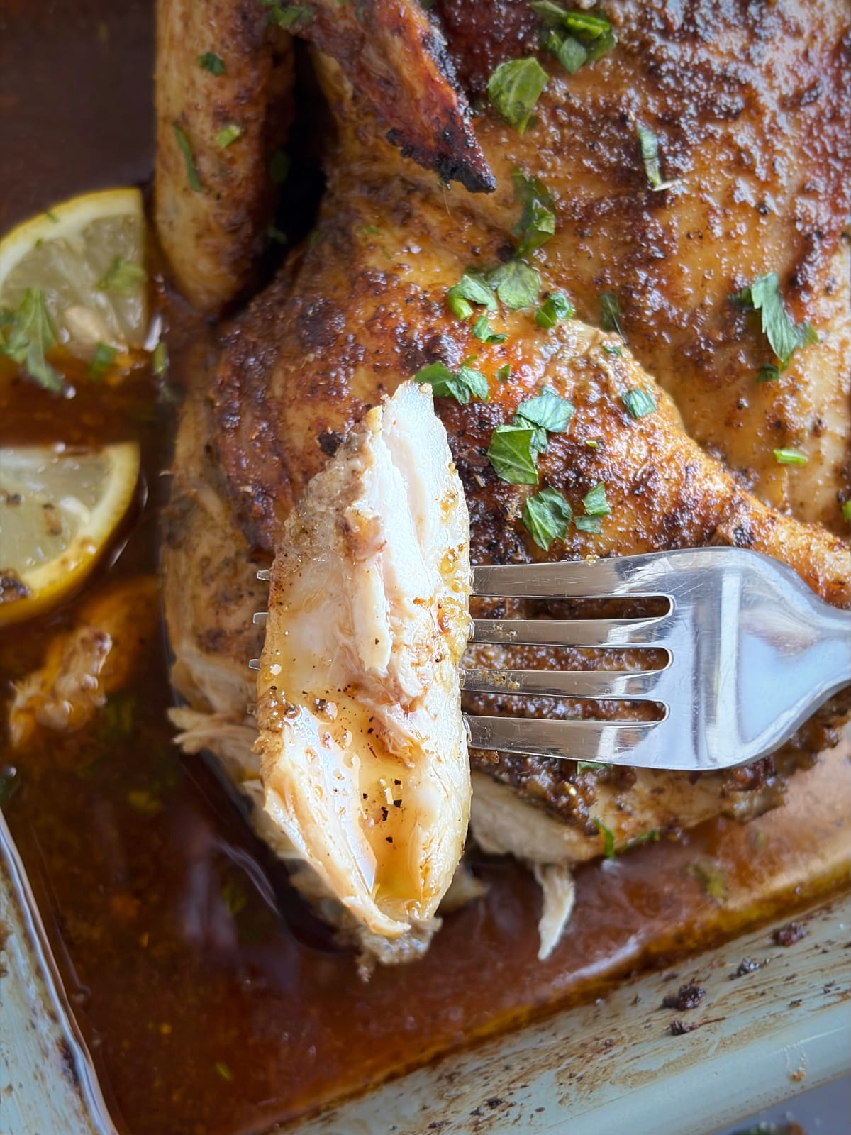 A fork holding up a piece of roasted chicken thigh.